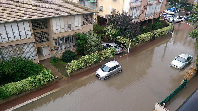 Flooding in Rehovot (Photo: Tal Lavi)