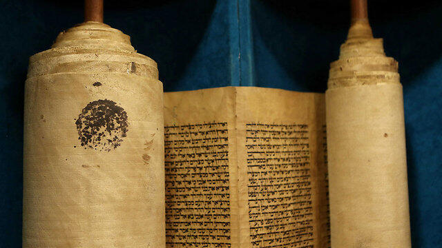 Torah scroll after restoration process (Photo: Alex Kolomoisky) (צילום: אלכס קולמויסקי) Torah scroll after restoration process (Photo: Alex Kolomoisky)