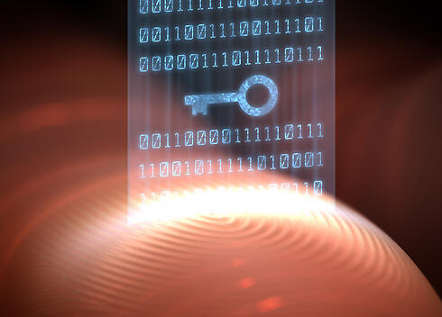 Фото: shutterstock