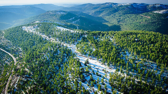 Photo: Israel Bardugo