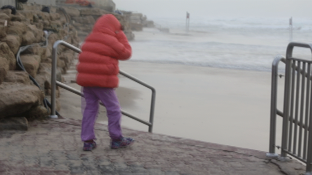 Tel Aviv's beach (Photo: Yaron Brenner)