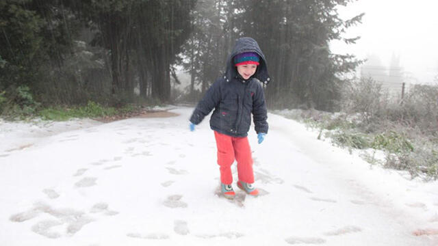 Photo: Anat Zisovich