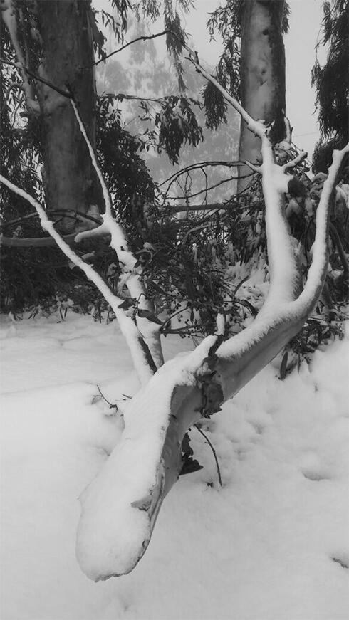 Golan Heights (Photo: Simon Friedman)