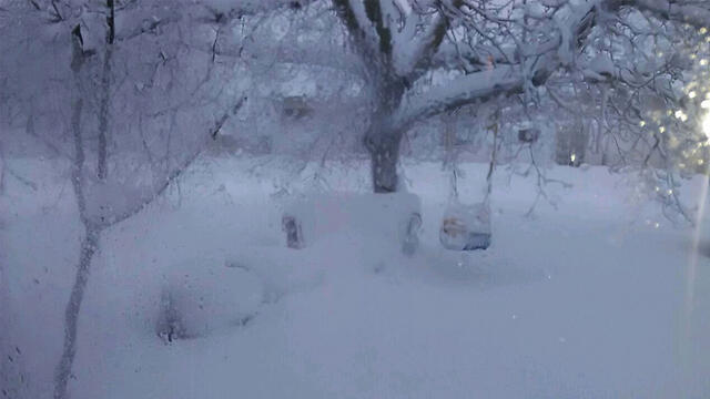 A winter wonderland in Alonei HaBashan (Courtesy of the Golan Heights Regional Council) (צילום: דוברות המועצה האזורית רמת הגולן) A winter wonderland in Alonei HaBashan (Courtesy of the Golan Heights Regional Council)