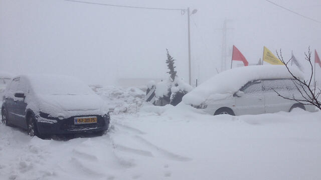 Vehicles in the Golan Heights 