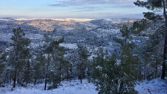 Jerusalem mountains (Photo: John Shamir) (צילום: ג'ון שמיר) Jerusalem mountains (Photo: John Shamir)