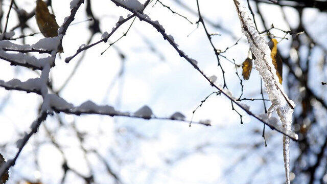 Snow freezes over in Jerusalem (Photo: Nitzan Kish) (צילום: ניצן קיש ) Snow freezes over in Jerusalem (Photo: Nitzan Kish)