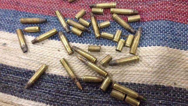 Shells found near the victim's body