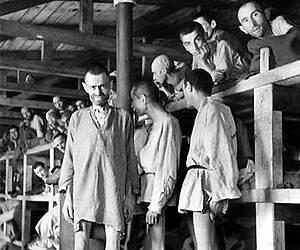 צילום: איי פי