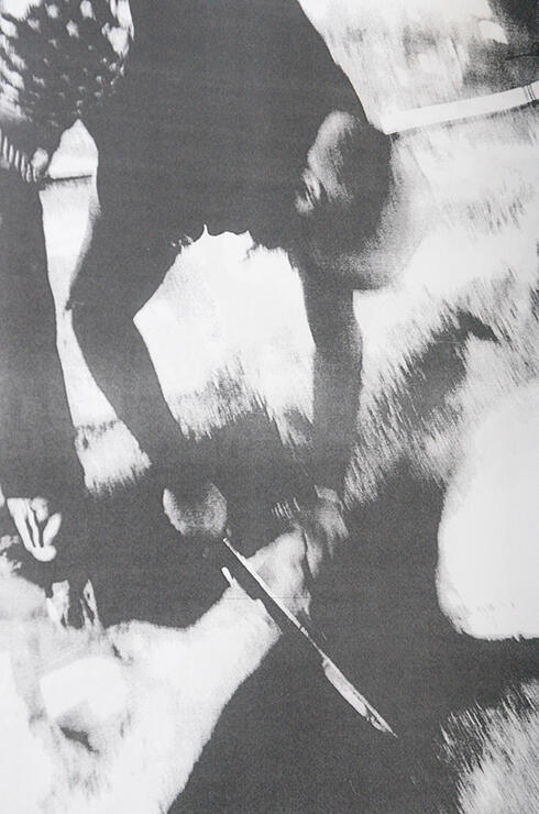 The accused seen slaughtering sheep at a fam in Kafr Manda.