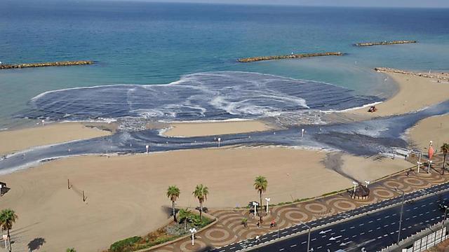 Пляж возле "Дельфинария", Тель-Авив. Фото: Шими (צילום: שימי) Пляж возле "Дельфинария", Тель-Авив. Фото: Шими