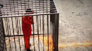 The fire moves toward the cage, moments before it is entirely engulfed in flames