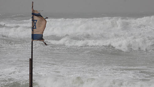 צילום: עידו ארז