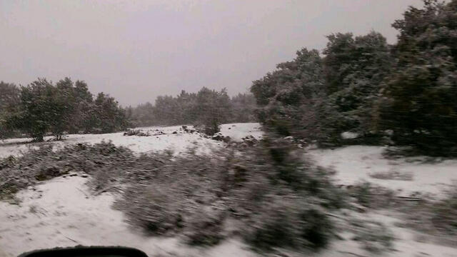 Photo: Golan Heights Regional Council (צילום: דוברות המועצה האזורית רמת הגולן) Photo: Golan Heights Regional Council