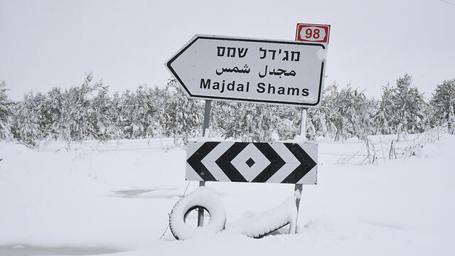 צילום: אביהו שפירא