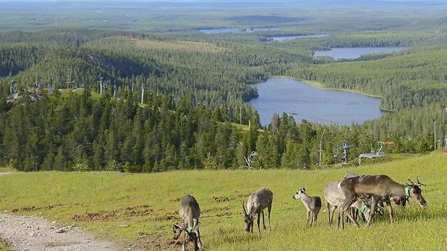 Lapland (Photo: Shutterstock)