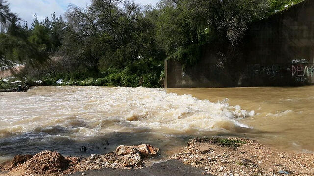 Sorek stream near Jerusalem (Photo: Roi Yanovsky) (צילום: רועי ינובסקי) Sorek stream near Jerusalem (Photo: Roi Yanovsky)