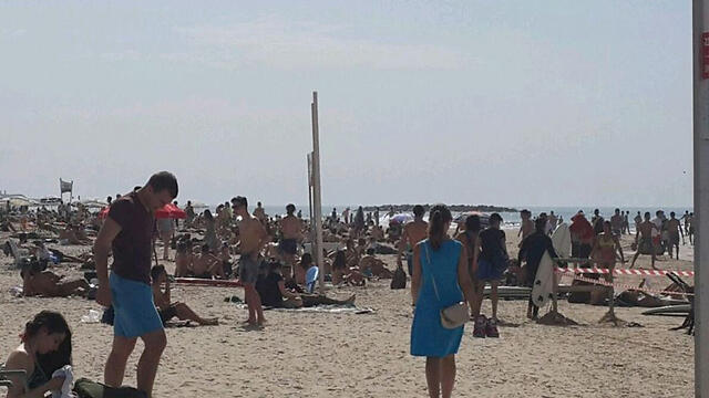 Gordon Beach in Tel Aviv (Photo: Yulia Portos) (צילום: יוליה פורטוס) Gordon Beach in Tel Aviv (Photo: Yulia Portos)