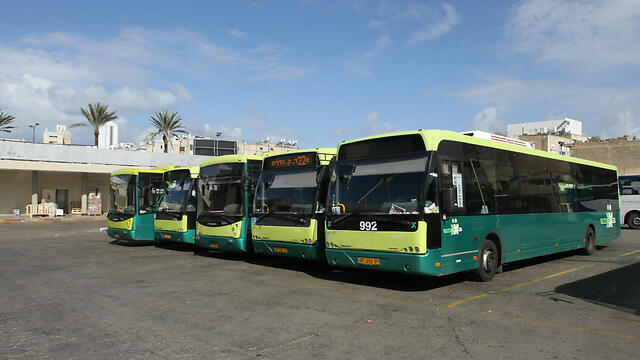 Фото: Идо Эрез (צילום: עידו ארז) Фото: Идо Эрез