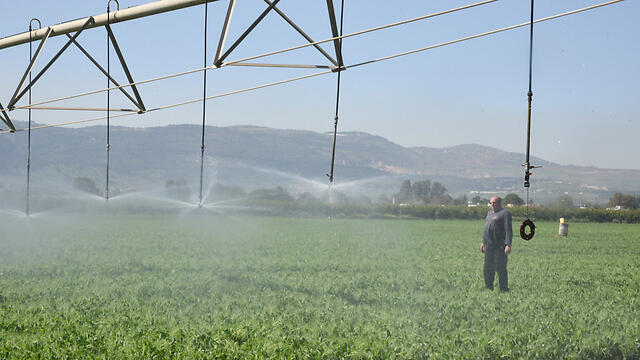 Fields in the Upper Galilee (Aviahu Shapira)