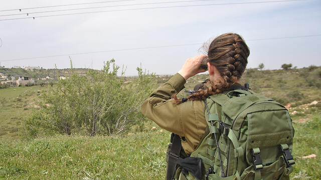 Photo: Ofer Meir (צילום: עפר מאיר) Photo: Ofer Meir