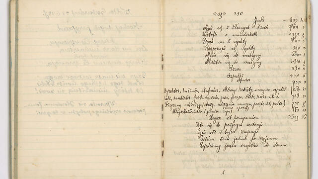 The alternative Haggadah inside the diary