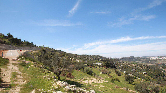 Cremisan Valley (Photo: AFP) (צילום: AFP) Cremisan Valley (Photo: AFP)