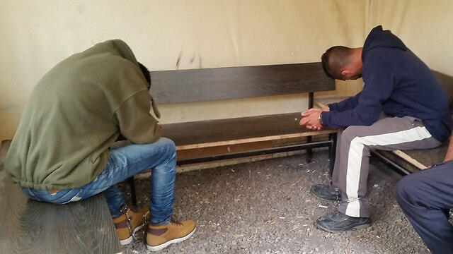 Eran Nagauker and Niv Asraf (Photo:Eli Mendelbaum) (צילום: אלי מנדלבאום) Eran Nagauker and Niv Asraf (Photo:Eli Mendelbaum)