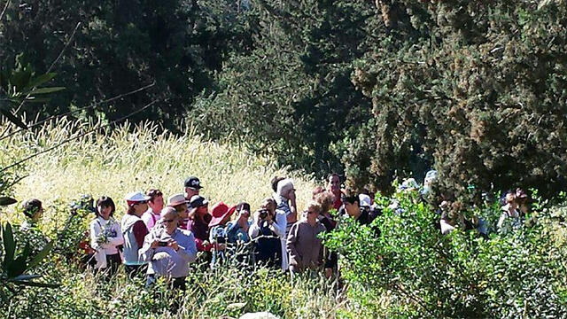 Walking in the Ben Shemen forest (Photo: JNF) (צילום: נורית היבשר, יערנית קקל) Walking in the Ben Shemen forest (Photo: JNF)