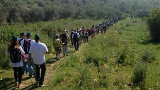 "Швиль Исраэль". Фото: Ярон Леви (צילום: ירון לוי, קק"ל) "Швиль Исраэль". Фото: Ярон Леви