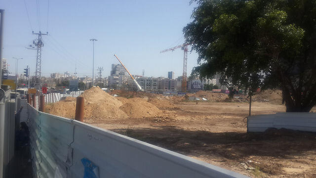 Infrastructure work done on Shaul HaMelech Boulevard (Photo: Gilad Morag) (צילום: גלעד מורג) Infrastructure work done on Shaul HaMelech Boulevard (Photo: Gilad Morag)