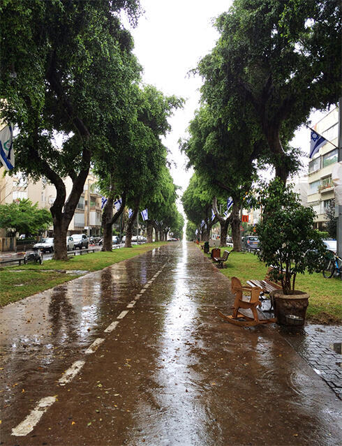 Rain on Tel Aviv's Ben Zion Boulevard (Photo: Shahar Yalov) (צילום: שחר יאלוב) Rain on Tel Aviv's Ben Zion Boulevard (Photo: Shahar Yalov)