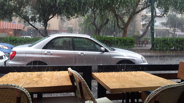 Rain in Tel Aviv (Photo: Merav Yigla) (צילום: מירב יגלה) Rain in Tel Aviv (Photo: Merav Yigla)