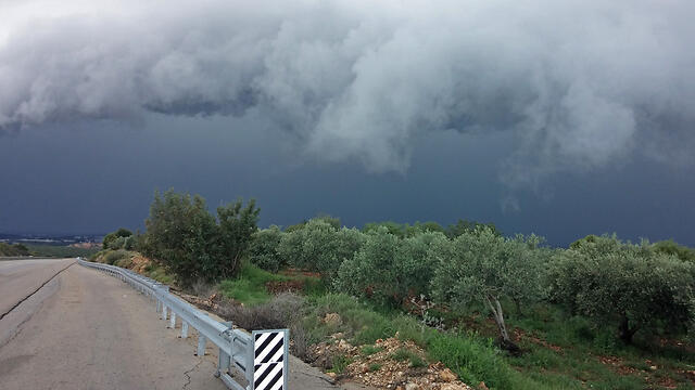 Road near Nahariya, Sunday morning (Photo: Ido Beker)