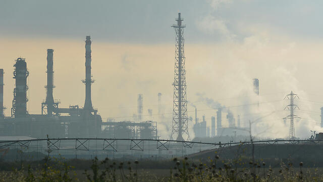 Photo: George Ginsburg (צילום: ג'ורג' גינסברג) Photo: George Ginsburg