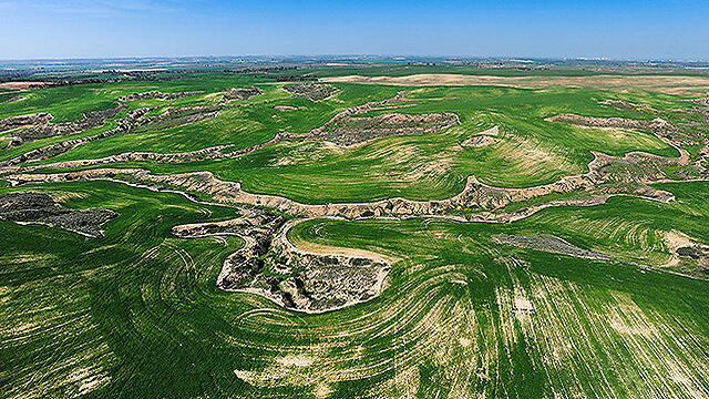 Ruhama Nature Reserve. (Photo: Israel Bardugo) (צילום: ישראל ברדוגו ) Ruhama Nature Reserve. (Photo: Israel Bardugo)