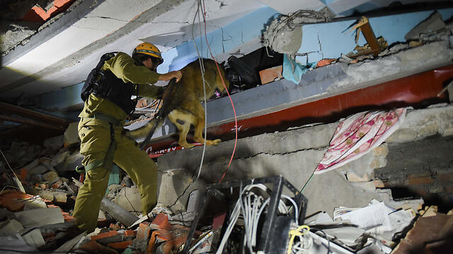 IDF soldier searching for survivors (Photo: IDF Spokesperson) (צילום: דובר צהל) IDF soldier searching for survivors (Photo: IDF Spokesperson)