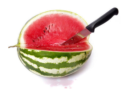 Фото: shutterstock