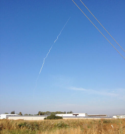 Photo: Idan Yechiel (צילום: עידן יחיאל) Photo: Idan Yechiel