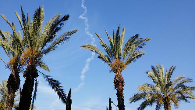 צילום: Jim Jonsson