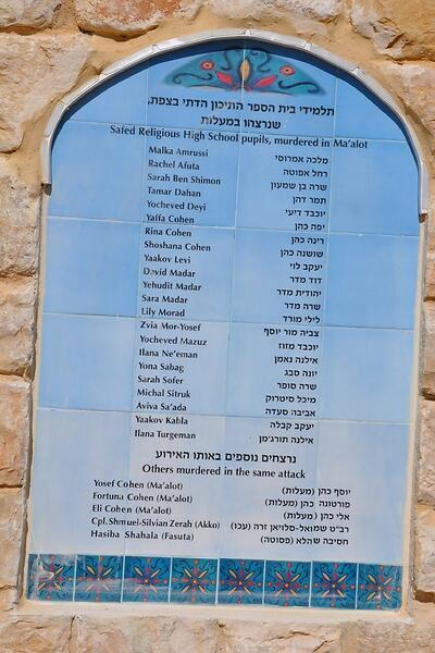 צילום: תמיר אנגל