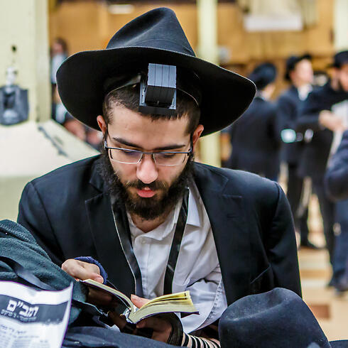 Фото: shutterstock