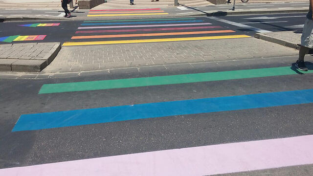 A pride-colored crosswalk (Photo: Barel Efraim) (צילום: בראל אפרים) A pride-colored crosswalk (Photo: Barel Efraim)