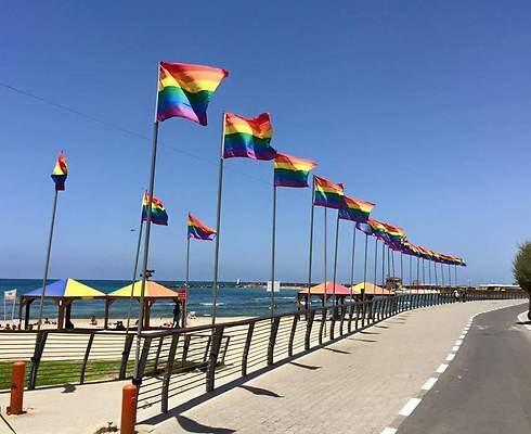 Hilton beach (Photo: Shaked Cohen)