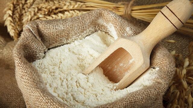 Фото: shutterstock (צילום: shutterstock) Фото: shutterstock