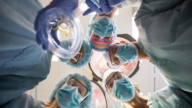 Фото: shutterstock