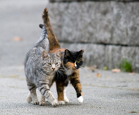 Time for transfer (Photo: Shutterstock)