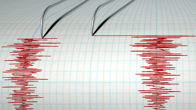 צילום: shutterstock