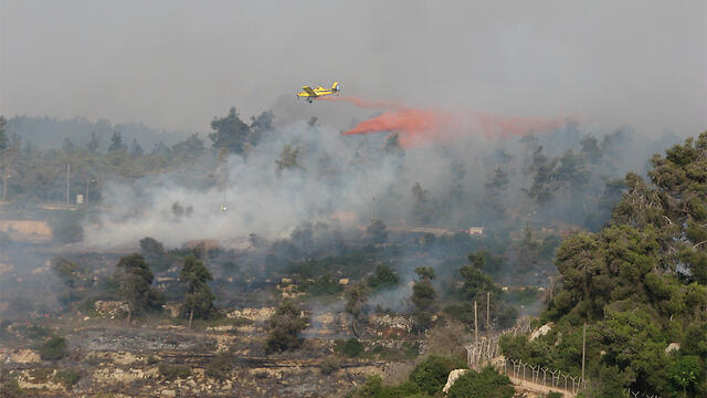 Photo: Rimon Carmel Kahani (צילום: רימון כרמל כהני) Photo: Rimon Carmel Kahani