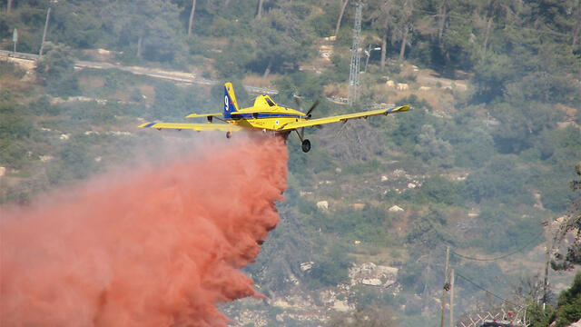 Photo: Rimon Carmel Kahani (צילום: רימון כרמל כהני) Photo: Rimon Carmel Kahani